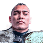 El Hijo Del Vikingo