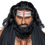 Veer
