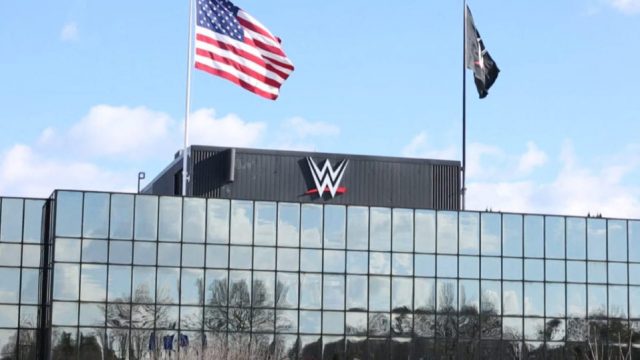 WWE Senior Vice President Thumb