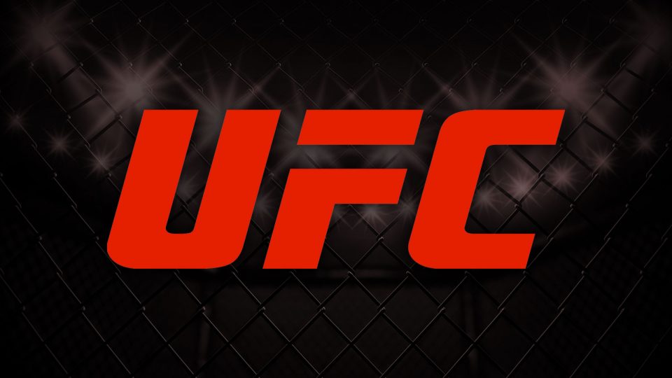 UFC Logo