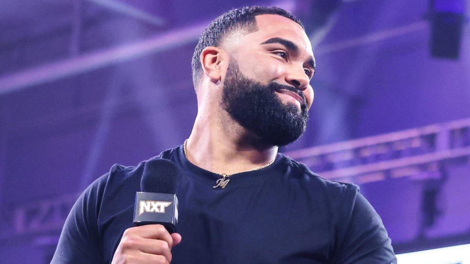 Gable Steveson Allegations Whats Next For Gable Steveson The Future Of A Wrestling Icon - 6qr5jq7