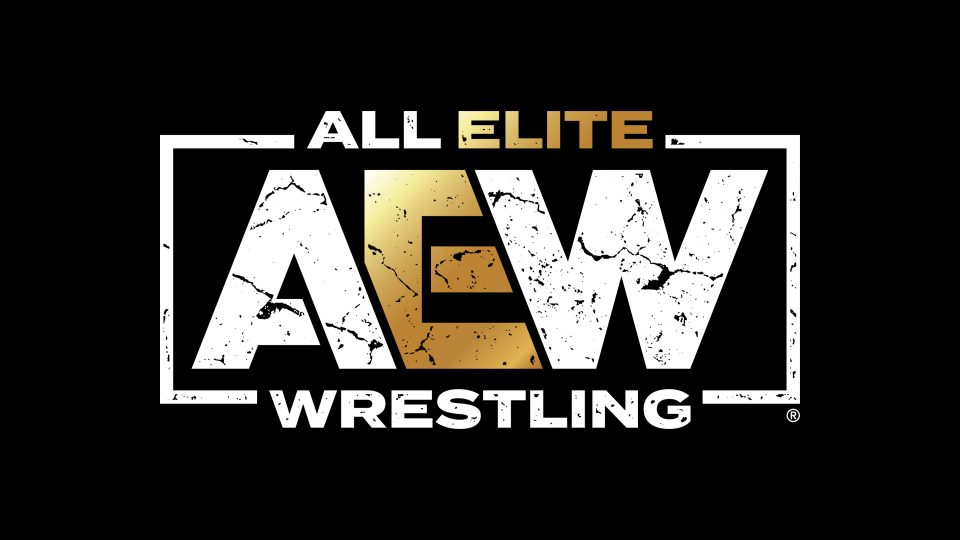 Injured AEW Talent Nearing Return