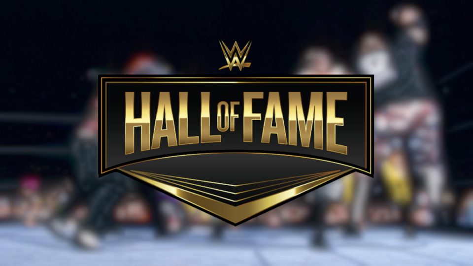 WWE Hall Of Famer Reveals Injury Realities