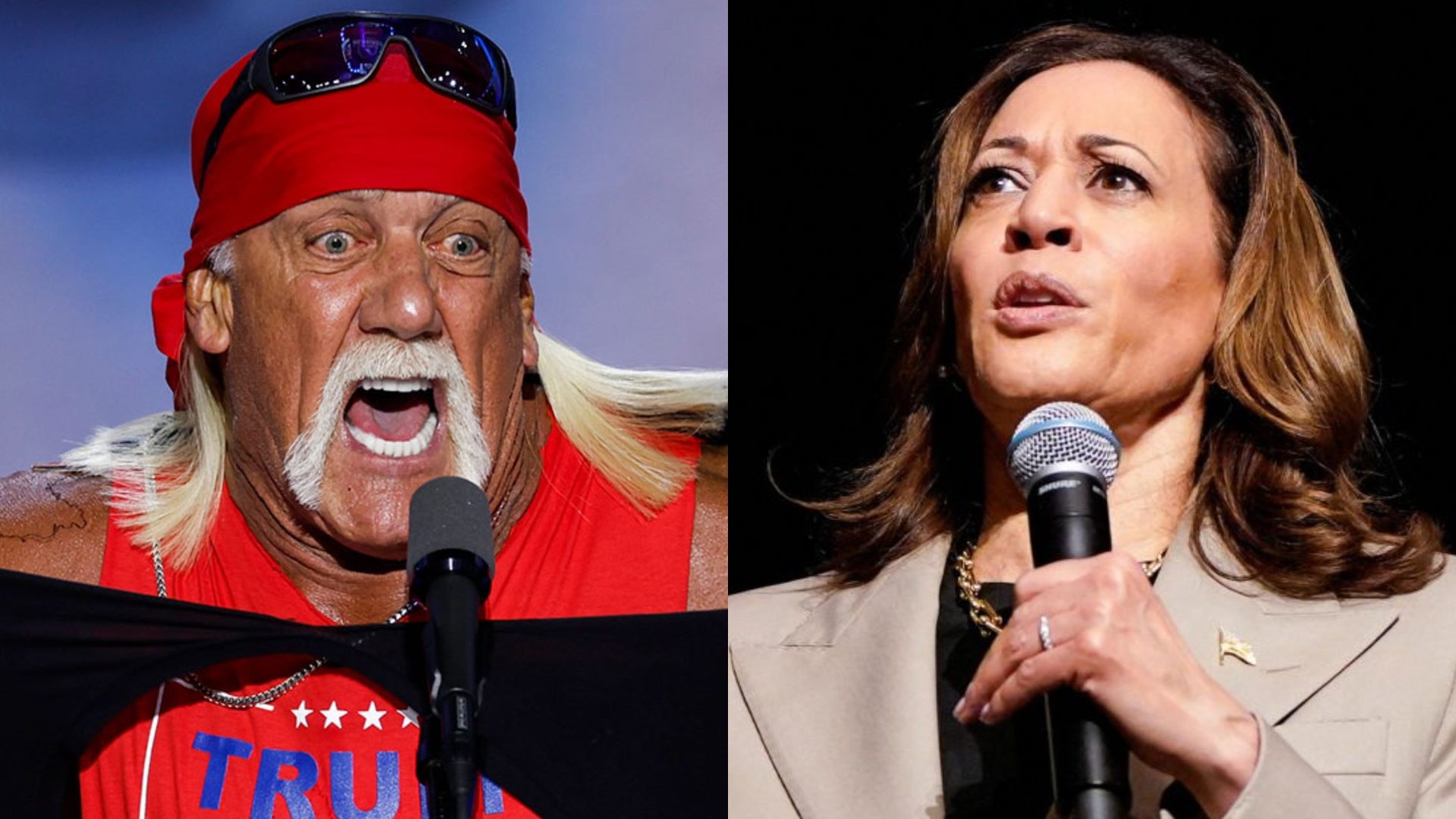Hulk Hogan Asks A Crowd Should He Body Slam Kamala Harris !?  [VIDEO]