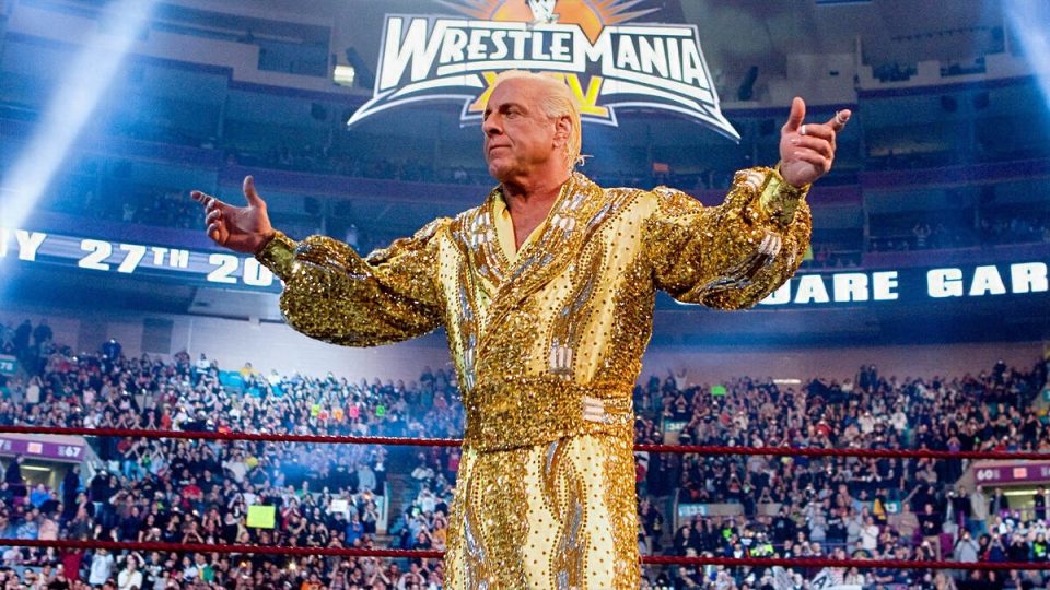 US Senate Bill Named After Ric Flair Could See New Wrestling Hall Of Fame