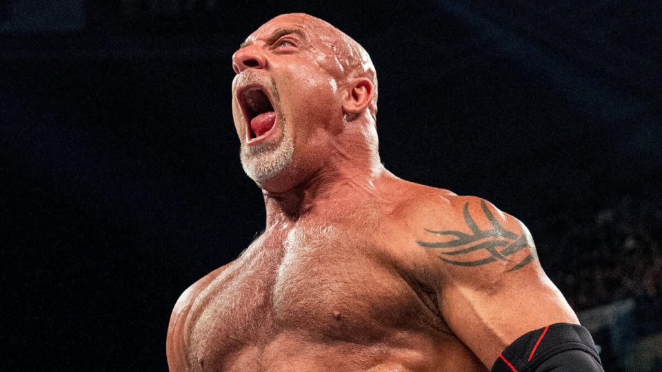 "Lucky Not To End Up In Hospital": Former WWE Star Looks Back On Match With Goldberg