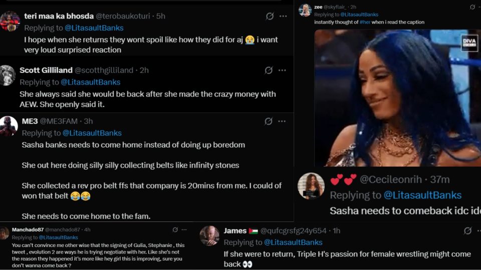 WWE fans convinced Triple H's AJ Lee return caption was also about Mercedes Mone