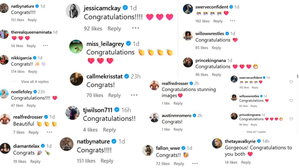 WWE and AEW stars celebrates MJF's wedding