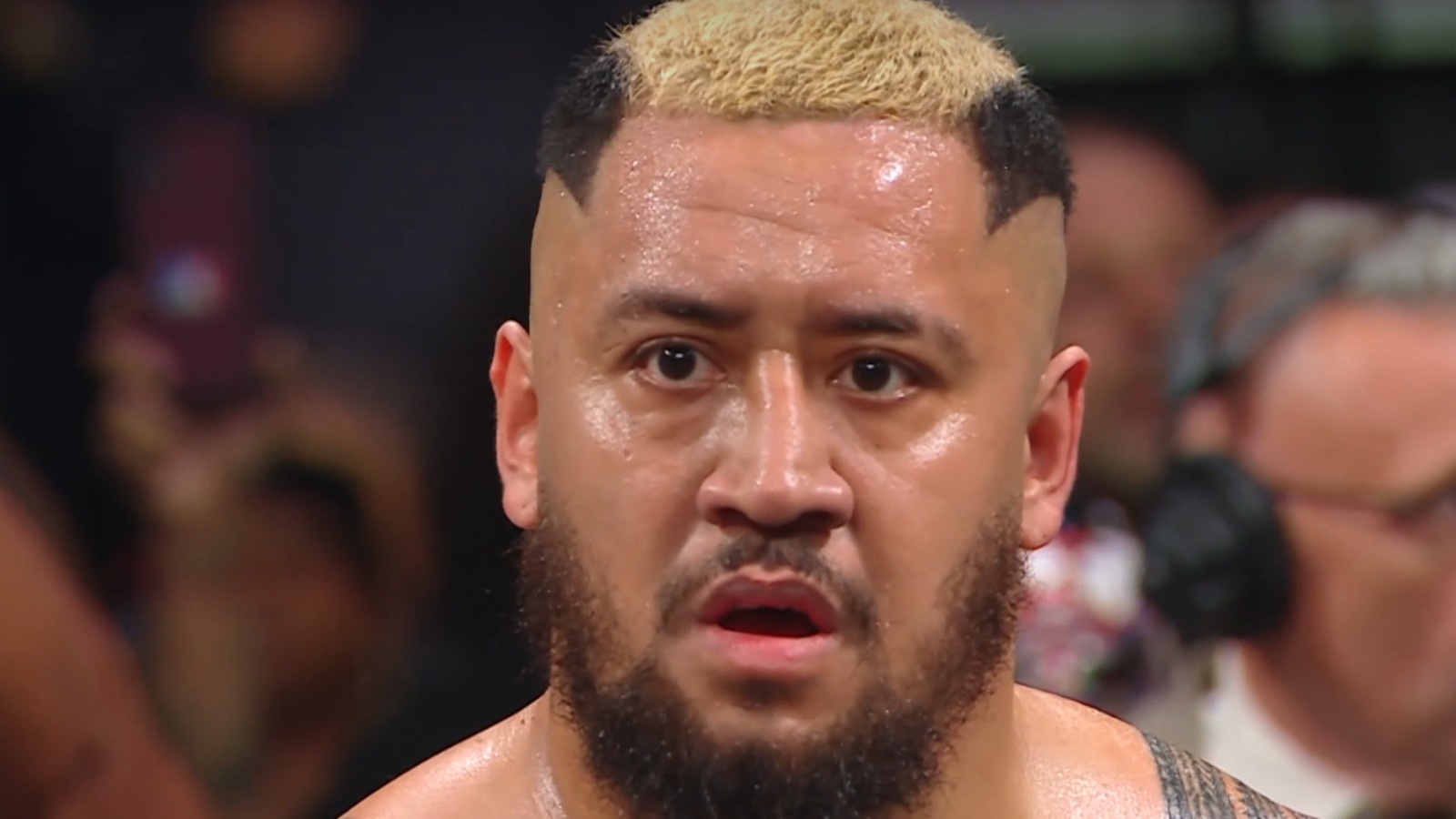 Solo Sikoa Insults Italy Flag During WWE Show; Receives Heavy Backlash Solo Sikoa Insults Italy Flag During WWE Show; Receives Heavy Backlash