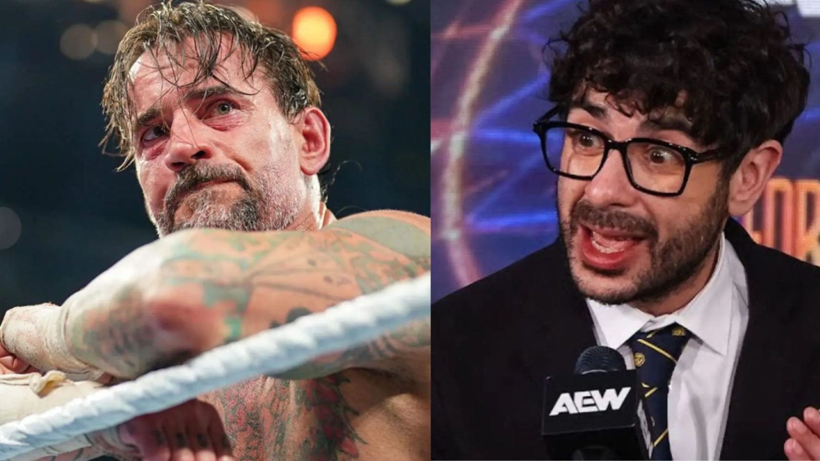 WWE Legend Makes Shocking Claim About CM Punk And Tony Khan WWE Legend Makes Shocking Claim About CM Punk And Tony Khan